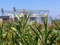 Vendas externas do agroneg�cio somam US$ 96,8 bilh�es em 2019