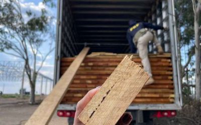 Madeira transportada de forma irregular � apreendida em Alto Gar�as