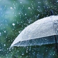 Chuvas impactam as lavouras brasileiras nesta quarta-feira