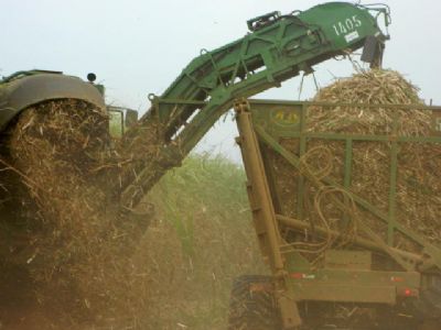 Etanol: federa��o de Minas Gerais faz apelo ao governo para ajudar setor
