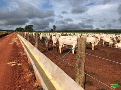 Como o confinamento aproxima a pecu�ria do n�vel de gest�o da agricultura?