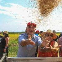 IPPA/CEPEA recua 2,2% em junho