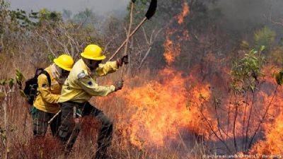 MT registra mais de 4 mil focos de inc�ndio em agosto