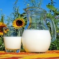 Alta divulga Cat�logo de Leite Importado 2020