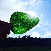 TO: Embaixador da �frica do Sul vem conhecer agroneg�cio