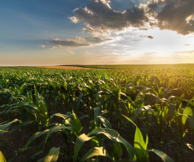 Regulamenta��o Antidesmatamento da Uni�o Europeia (EUDR) e Rastreabilidade Mobilizam Exportadores