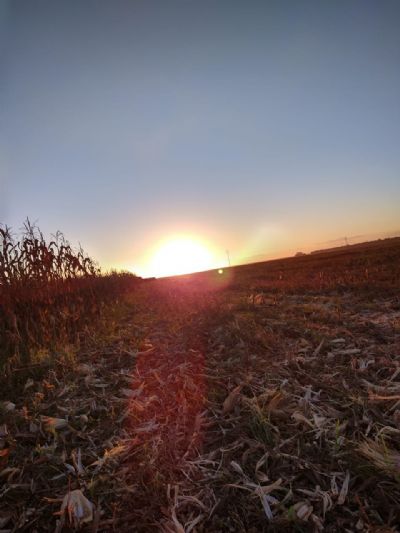 Governo regulamenta cadastro para incentivar a��es anti-corrup��o no agroneg�cio