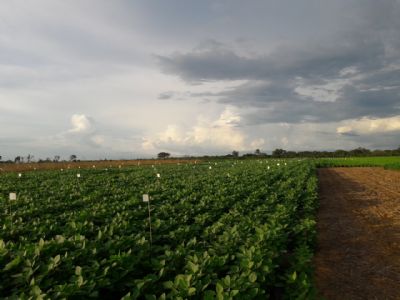 Embrapa leva debate sobre Compost Barn � ExpoSul Rural