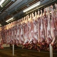 9 frigor�ficos ga�chos apresentam casos de Covid-19