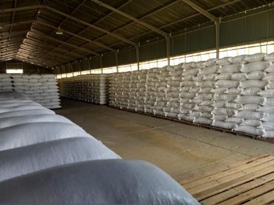 Agroconsult projeta safra ver�o de milho em 27,6 milh�es de toneladas