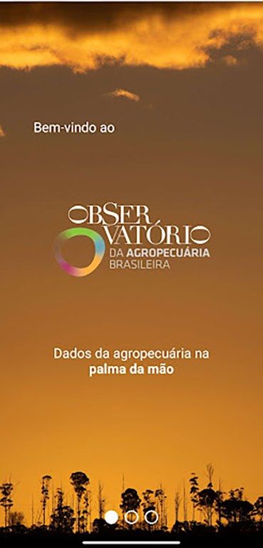 Dados da agropecu�ria brasileira j� podem ser consultados em aplicativo