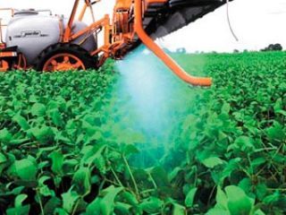 Secretaria da Agricultura suspende aplica��o do herbicida 2.4-D at� o fim do ano