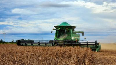 Volume e qualidade garantidos na safra 2023/2024