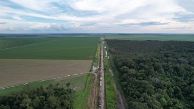 BR 163 escoa cerca de 50 milh�es de toneladas de gr�os e insumos por ano