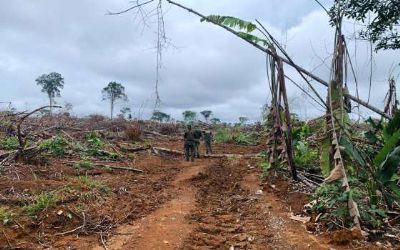 Opera��o Toler�ncia Zero III apreende 4 tratores e aplica R$ 30 milh�es em multas