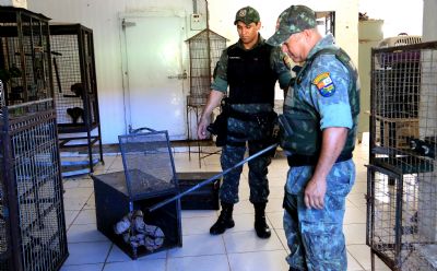 Batalh�o prendeu 547 pessoas e resgatou 670 animais em 2017