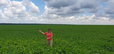Agricultura de S�o Felix do Araguaia vira destaque em Mato Grosso