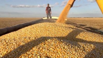 Milho: F�varo acena com pre�o m�nimo para garantir rentabilidade ao produtor