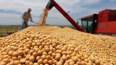 Soja passa a operar no vermelho em Chicago com mercado pressionado pela pandemia de coronav�rus