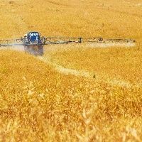 Novos inseticidas controlam principais pragas