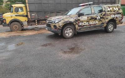 Patrulha Rural recupera 38 cabe�as de gado furtadas de fazenda e prende dois homens em MT