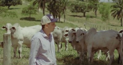 �Precisa de paix�o�, diz produtor da Bahia sobre sucesso na pecu�ria