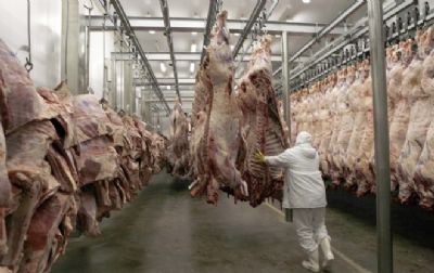 Em 2019, Mato Grosso faz a maior exporta��o de carne da d�cada