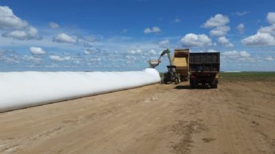 Sem espa�o, compradores se retraem e travam neg�cios com a soja na Bahia