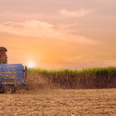 A��car: M�s se encerra com Indicador em queda