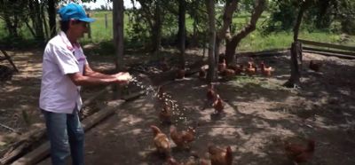 Proposta de Zoneamento para MT poder� afetar fam�lias que dependem da agricultura pra sobreviver