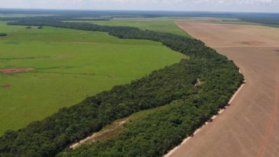 Bom Futuro emprega tecnologia para cuidar de �rea ambiental de 98 mil hectares