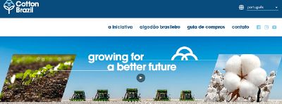 Algod�o faz aquilo que o Brasil precisa fazer: governan�a e marketing