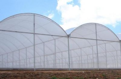 Agricultores familiares financiam R$ 150 mil para produ��o de tomate em sistema protegido