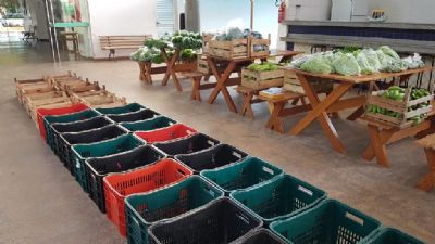 Agricultores familiares utilizam sistema de delivery para comercializar produtos