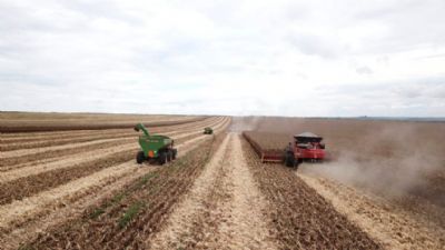 Setor de fertilizantes do Brasil vai investir R$21 bi na ind�stria nacional em 4 anos