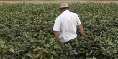 Regi�es produtoras de Mato Grosso recebem o �� Hora de Cuidar� da Funda��o MT