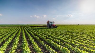 Riqueza do agroneg�cio torna o Centro-Oeste prioridade para o mercado financeiro