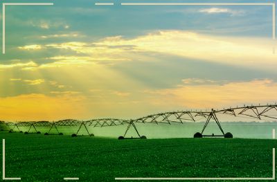 Intelig�ncia Artificial: Como a tecnologia est� transformando o agroneg�cio, por Alexandre de Alencar