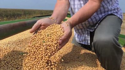 Pre�os da soja sobem no Brasil
