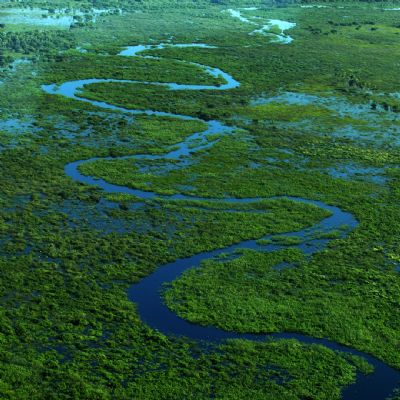 Opera��o Cordilheira sequestra propriedades e aplica multa de R$ 2,8 bilh�es por desmate qu�mico no Pantanal