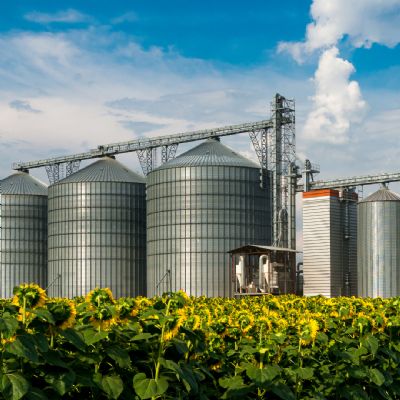 Mato Grosso registra alta no volume esmagado de soja