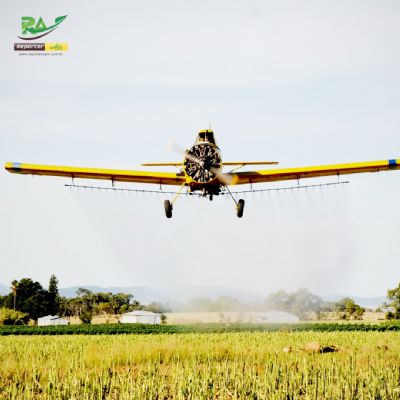 Projeto favorece produ��o de combust�vel renov�vel de avi�o