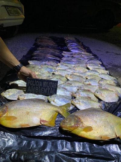 Batalh�o Ambiental da PM apreende 45 quilos de pescado irregular durante fiscaliza��o