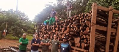 Pol�cia Civil e Sema doam madeiras ilegais apreendidas para institui��o de caridade de Confresa