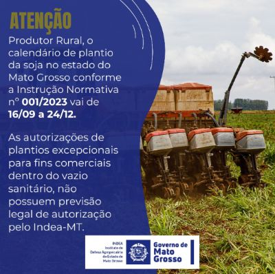 Confira o calend�rio de plantio para soja 2023 em Mato Grosso e outras regi�es do Brasil