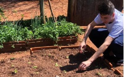 Estudantes do Paran� criam c�psula org�nica que substitui agrot�xico