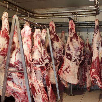 Exporta��es de carne bovina batem recorde em outubro e Brasil caminha para o melhor ano da hist�ria