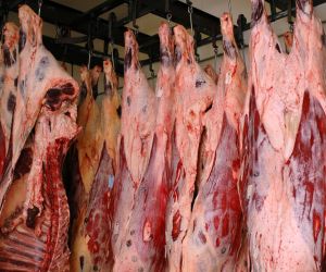 Pecu�ria: Exporta��es para a China reduzem em MT