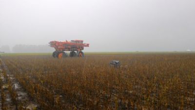 Sojicultores de MT temem excesso de chuva durante a colheita