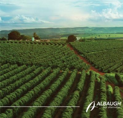 Solu��es para doen�as e pragas relevantes da cultura marcam a presen�a da Albaugh Brasil na Expocaf�